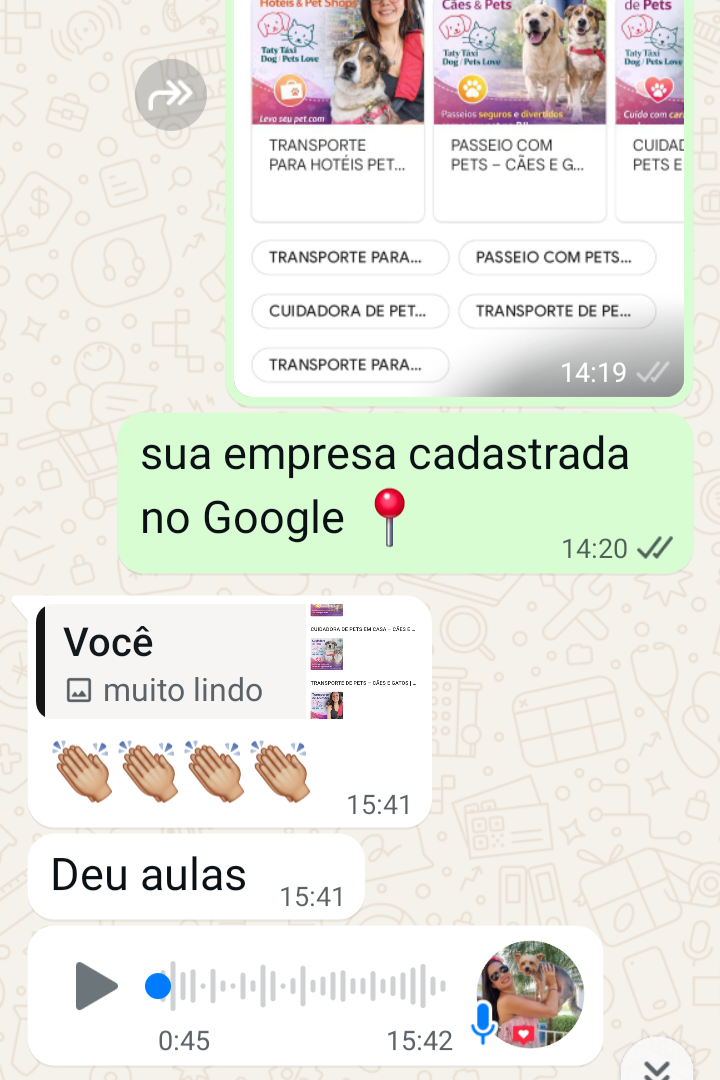Print de conversa no WhatsApp mostrando a empresa Taty Táxi Dog Pets cadastrada no Google por Luan Felipe Pro